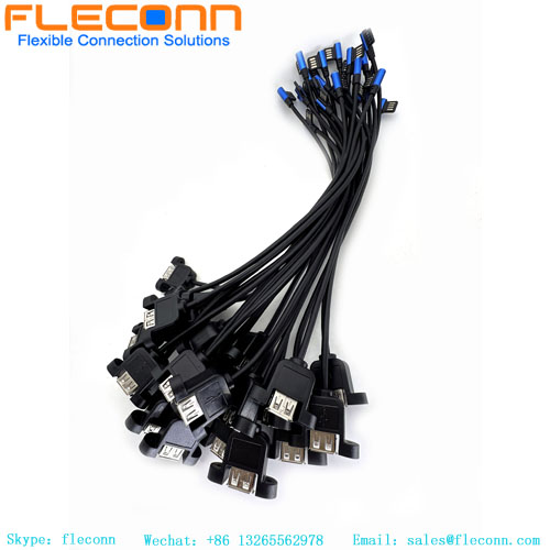 Dual USB Female Ears Main Board Extension Cable with Screw