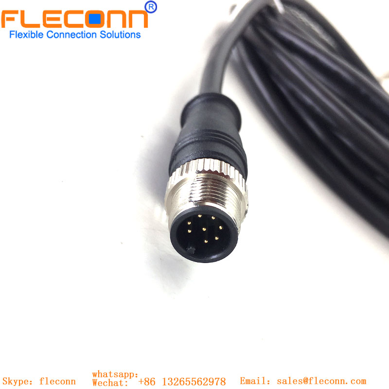 Cable macho M12 de 6 pines